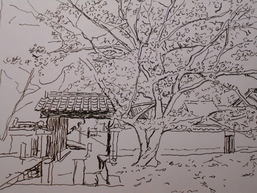 DSCN1655.JPG