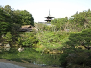 IMG_0787.jpg仁和寺.jpg